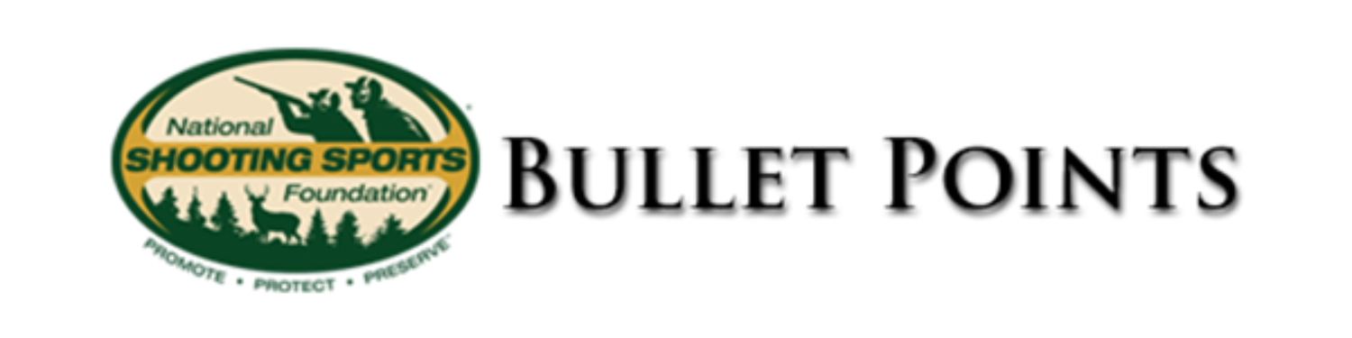 bullet_points